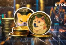 ¡Dogecoin (DOGE) se dispara un 27%! ¿Crecerá aún más Shiba Inu (SHIB)? - Cripto Boom