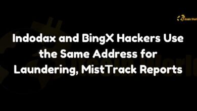 Hackers de Indodax y BingX Usan la Misma Dirección para Lavado de Criptomonedas, Informe MistTrack ¡Descubre los Detalles! - Cripto Boom
