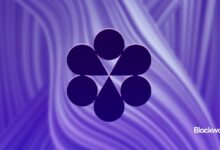 Conduit presenta secuenciador innovador hacia un futuro de giga-gas: ¡Descubre más! - Cripto Boom