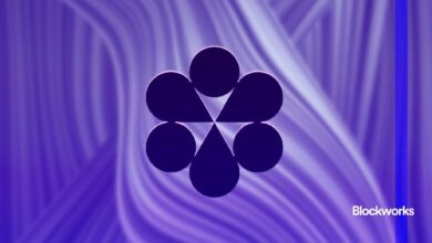 Conduit presenta secuenciador innovador hacia un futuro de giga-gas: ¡Descubre más! - Cripto Boom