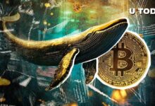 Cartera de Bitcoin de la Era Satoshi Reactivada con $10 Millones en Ganancias de BTC - ¡Descubre Más! - Cripto Boom