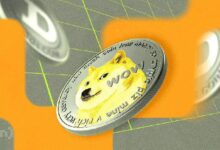 Precio de Dogecoin (DOGE) Podría Corregir un 30% si el Mercado Pierde Impulso: Descubre Más - Cripto Boom