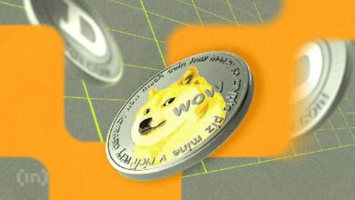 Precio de Dogecoin (DOGE) Podría Corregir un 30% si el Mercado Pierde Impulso: Descubre Más - Cripto Boom