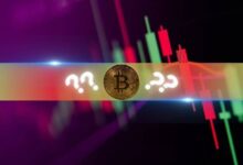 Estas Altcoins Registran Mayores Ganancias Mientras Bitcoin (BTC) Alcanza Máximo de 3 Semanas: ¡Descubre Más! - Cripto Boom