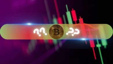 Estas Altcoins Registran Mayores Ganancias Mientras Bitcoin (BTC) Alcanza Máximo de 3 Semanas: ¡Descubre Más! - Cripto Boom
