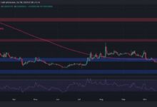 Análisis del Precio de Ripple: XRP Incapaz de Superar $0.55, ¿Se Avecina un Desplome? Descúbrelo Ahora - Cripto Boom