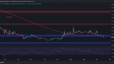 Análisis del Precio de Ripple: XRP Incapaz de Superar $0.55, ¿Se Avecina un Desplome? Descúbrelo Ahora - Cripto Boom