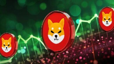 Shiba Inu Se Acerca a un Nivel Clave: ¿Puede SHIB Alcanzar $0.00003? Descúbrelo Aquí - Cripto Boom