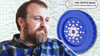 El Fundador de Cardano Confirma: ADA es el Protagonista del Mercado Hoy ¡Descubre Más! - Cripto Boom