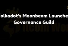 Moonbeam de Polkadot Lanza la Guild de Gobernanza: ¡Descubre Más! - Cripto Boom