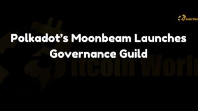 Moonbeam de Polkadot Lanza la Guild de Gobernanza: ¡Descubre Más! - Cripto Boom
