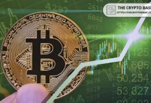 Experto del Mercado Predice Cuándo Bitcoin Alcanzará su Pico en Este Ciclo ¡Descúbrelo Aquí! - Cripto Boom