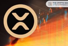 Experto Afirma que XRP Está Listo para su Mayor Explosión: ¡Descubre Más! - Cripto Boom