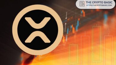 Experto Afirma que XRP Está Listo para su Mayor Explosión: ¡Descubre Más! - Cripto Boom