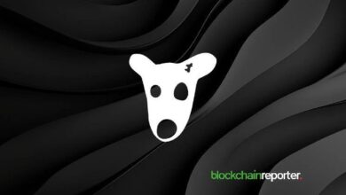 $DOGS Lanza Búsqueda del Tesoro Global con Recompensa de $10,000 y NFTs Exclusivos ¡Únete a la Búsqueda Ahora! - Cripto Boom