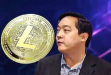 Aprobación del ETF de Litecoin por Canary Capital: Declaraciones del Fundador de LTC, ¡Descubre Más! - Cripto Boom
