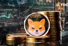 Solo 2%: Esta Métrica de Shiba Inu (SHIB) Está Generando Preguntas – Descubre por Qué - Cripto Boom