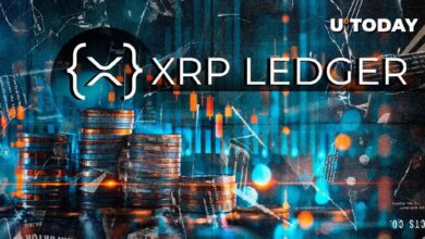Próxima Gran Actualización de DID en el Ledger XRP (XRPL): ¡Descubre los Detalles! - Cripto Boom