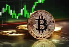 Bitcoin (BTC) alcanza $69,000: ¿Es posible un rally del 155%? Descúbrelo ahora - Cripto Boom