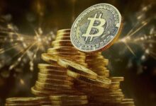 El Dominio de Bitcoin Aumentó un 14% en 2020—¿Podría Repetirse el Mismo Rally de Altcoins? ¡Descúbrelo Aquí! - Cripto Boom