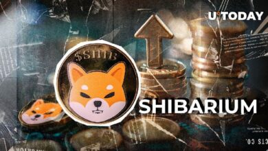 ¡El Shibarium de Shiba Inu Rompe Récords con un Aumento Sorprendente del 1,557% en Actividad! Descubre Más Aquí - Cripto Boom