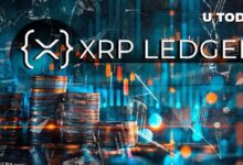 "Accede al XRP Ledger con un Solo Clic para 30 Millones de Usuarios de MetaMask: Descubre Cómo" - Cripto Boom