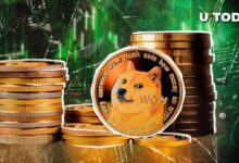 Precio de Dogecoin (DOGE) Alcanza Nuevos Horizontes tras Misteriosa Transferencia de Ballena por $78.68 Millones - Descubre los Detalles! - Cripto Boom