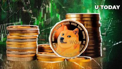 Precio de Dogecoin (DOGE) Alcanza Nuevos Horizontes tras Misteriosa Transferencia de Ballena por $78.68 Millones - Descubre los Detalles! - Cripto Boom