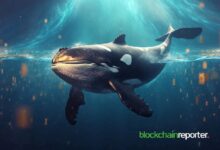 Ballena Convierte Pérdida de $4.44M en WIF a Ganancia de $1.94M en SOL e Invierte en $POPCAT: Descubre el Impactante Movimiento - Cripto Boom