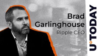 El CEO de Ripple afirma que la OPI no es "alta prioridad" – Descubre más aquí - Cripto Boom
