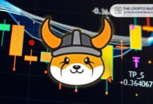 Experto: Descubre lo que Floki tiene que Shiba Inu y Dogecoin no poseen - Cripto Boom