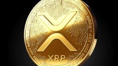 Precio de XRP Cerca de un Estallido: ¿Podrá Finalmente Subir Más? Descúbrelo Aquí - Cripto Boom