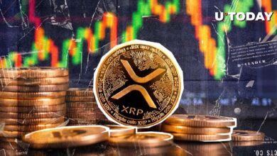 ¡XRP se Dispara un 366%! Descubre cómo Alcanzó $1.1 Millones en Flujos Semanales - Cripto Boom