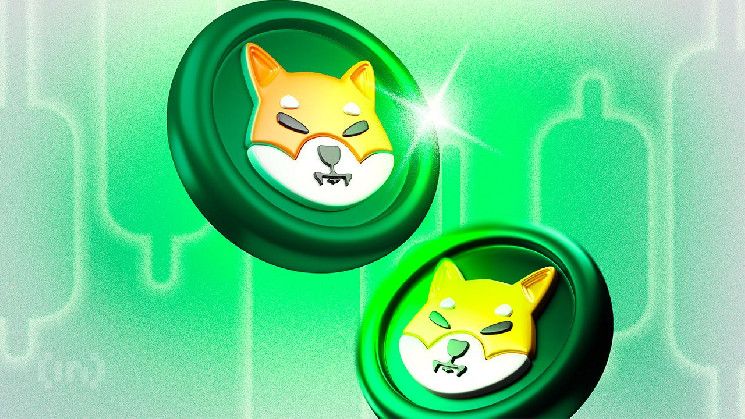 ¡Inversores de Shiba Inu (SHIB) Retiran $288 Millones de las Bolsas tras Aumento del 30%! - Cripto Boom