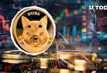 Precio de Shiba Inu (SHIB) Alcanza Nuevos Mínimos: Descubre el Futuro de Esta Tendencia - Cripto Boom