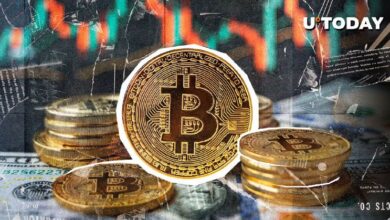 ¿Bitcoin alcanzará nuevos máximos históricos en 2024? Descubra la respuesta del mercado. - Cripto Boom
