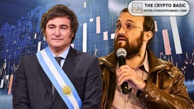 Fundador de Cardano: Argentina Liderará el Crecimiento Blockchain en Latinoamérica - Cripto Boom