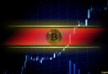 Predicción del Precio de Bitcoin: ¿Hacia Dónde se Dirige BTC Esta Semana Tras el Test de $64K? Descúbrelo Aquí - Cripto Boom