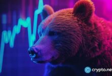 ¡Caída del token X Empire! Sigue el destino de Notcoin, Gamee y Catizen. - Cripto Boom