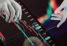Analista Predice que Bitcoin Alcanzará $500,000: ¡Descubre Cómo las Ballenas Impulsan su Aumento! - Cripto Boom