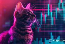 ¡Explosión de tokens Popcat y MEW! Volumen de Solana DEX supera a Ethereum: Descubre más - Cripto Boom