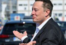 ¿Por qué los jugadores de 'X Empire' en Telegram se quejan a Elon Musk sobre el airdrop? Descubre más aquí. - Cripto Boom