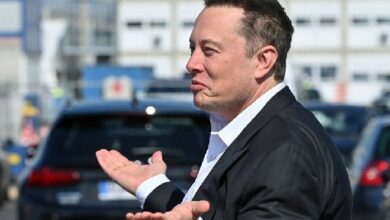 ¿Por qué los jugadores de 'X Empire' en Telegram se quejan a Elon Musk sobre el airdrop? Descubre más aquí. - Cripto Boom