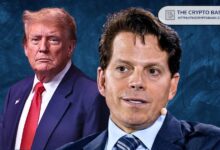 Scaramucci Describe la Venta Continua de Tokens de Donald Trump como una 'Estafa Transparente de Dinero' - Descubre el Escándalo! - Cripto Boom