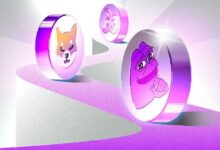 Monedas Meme Inspiradas en Gatos Causan Sensación y Alcanzan Nuevos Máximos Históricos: ¡Descúbrelas Ahora! - Cripto Boom