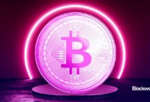 ¿Qué impulsa el reciente ascenso (y caída) de BTC? ¡Descúbrelo ahora! - Cripto Boom