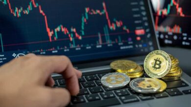 El token cripto ‘Hawk Tuah’ se dispara casi un 50% en un mes. ¡Descubre el alza! - Cripto Boom