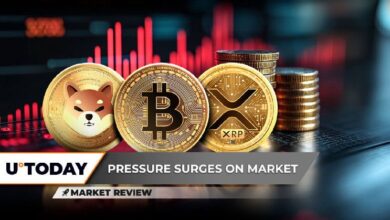 Shiba Inu (SHIB) al Borde del Fracaso, XRP Regresa al Nivel de Julio: ¿Qué Esperar? ¡Bitcoin (BTC) Debe Evitar Caer por Debajo de Este Nivel! - Cripto Boom