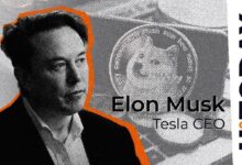 'Doge Designer' Pide a la Comunidad DOGE que Apoye X: Elon Musk lo Confirma - Descubre Más - Cripto Boom