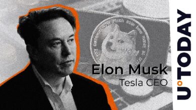 'Doge Designer' Pide a la Comunidad DOGE que Apoye X: Elon Musk lo Confirma - Descubre Más - Cripto Boom